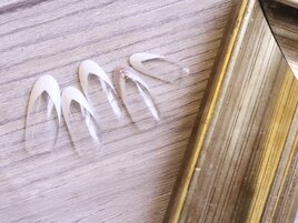 【極上シンプルコース】