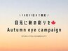 【目元に秋の彩りを＊】フラットマットラッシュ120本(オフ込)