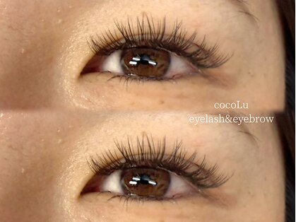 cocoLu eyelash&eyebrow【2月下旬　OPEN（予定）】の写真
