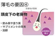 サロン ド エステティック ルチア 東京店/頭皮下の老廃物