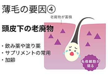 サロン ド エステティック ルチア 東京店/頭皮下の老廃物