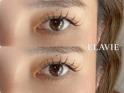 エラヴィエ(ELAVIE)の写真