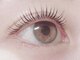 アイラッシュエイム(Eyelash eim)の写真/[パリジェンヌラッシュリフト/まつげパーマ￥4500]目元のお手入れは垢抜けの近道☆ご要望の再現度に定評◎