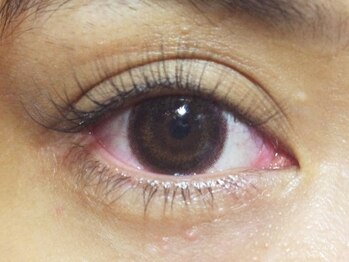 ビー 久留米(Bee)/シングル60本+3D20束