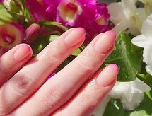 ビューティーコレクション アリレイナ(BEAUTY COLLECTION ARIREINA)
