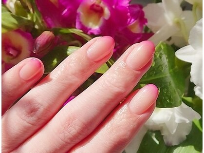 ビューティーコレクション アリレイナ(BEAUTY COLLECTION ARIREINA)の写真