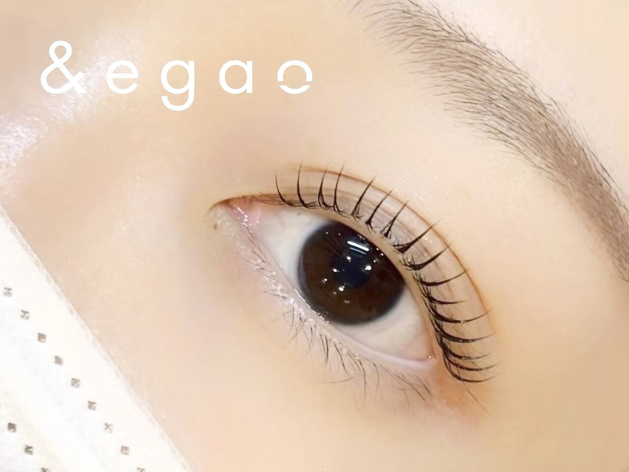 【EYEメニュー初回限定】次世代まつげパーマ*ラッシュリフト\6,600→\4,990