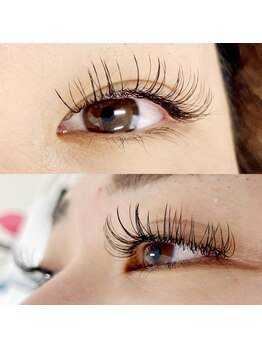 エール(Ailes)/フラットラッシュ 150本