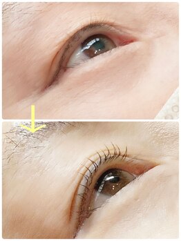 プトゥリ(Putri)/まつげパーマで目力アップ