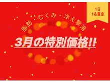 ヨサパーク モカ(YOSA PARK Moca)