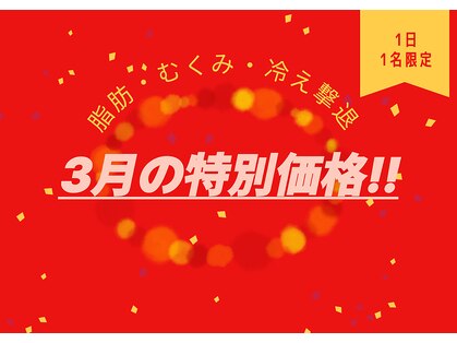 ヨサパーク モカ(YOSA PARK Moca)の写真