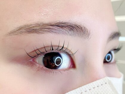 ドリー(DOLLY)の写真