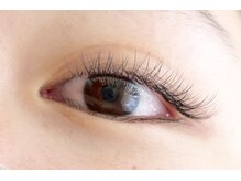 シマー(shimmer)/バインドロック60束