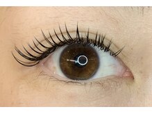 レミア 関内(REMIA)/12月　フラットラッシュ140本