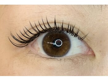 レミア 関内(REMIA)/12月　フラットラッシュ140本