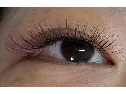 エム カシェット(M.cachette)の写真