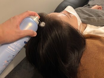 レム(Lem)/炭酸スプレー(オプション)