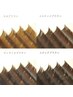 ≪カラーエクステ≫ブラウンフラットラッシュ100本 ￥8000