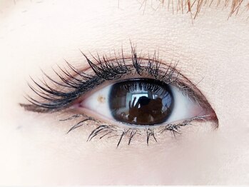 プティシュ 両国店(Petit Chou Eyelash)の写真/【パッチリ印象eyeで彼の目線をキャッチ♪】黒目を強調して可愛くキュートに!最高級セーブル取扱いでモチ◎