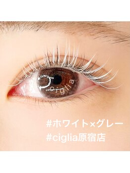 チッリア 原宿店(ciglia)/ホワイト/グレーカラーマツエク