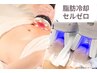 【脂肪冷却1カップ】セルライトゼロも込み★  ¥15000