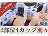 【再来店1か月以内】脂肪冷却 2部位4カップ