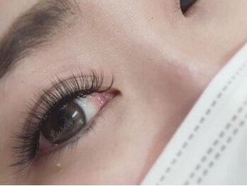 ラシェスキタモト (luscius kitamoto)/ボリュームラッシュ200束