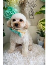 ブブ(bubu) ブブ 