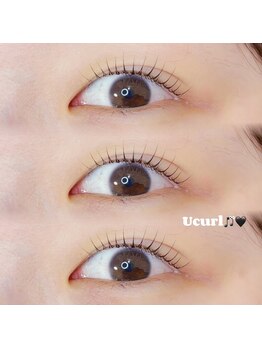 シックドゥアキタ(CHIC de Akita)/Uカールデザイン