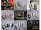 ネイル フライガール(nail FLY GIRL)の写真