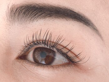 リビング(LIVING)/【セーブルエクステ80本】