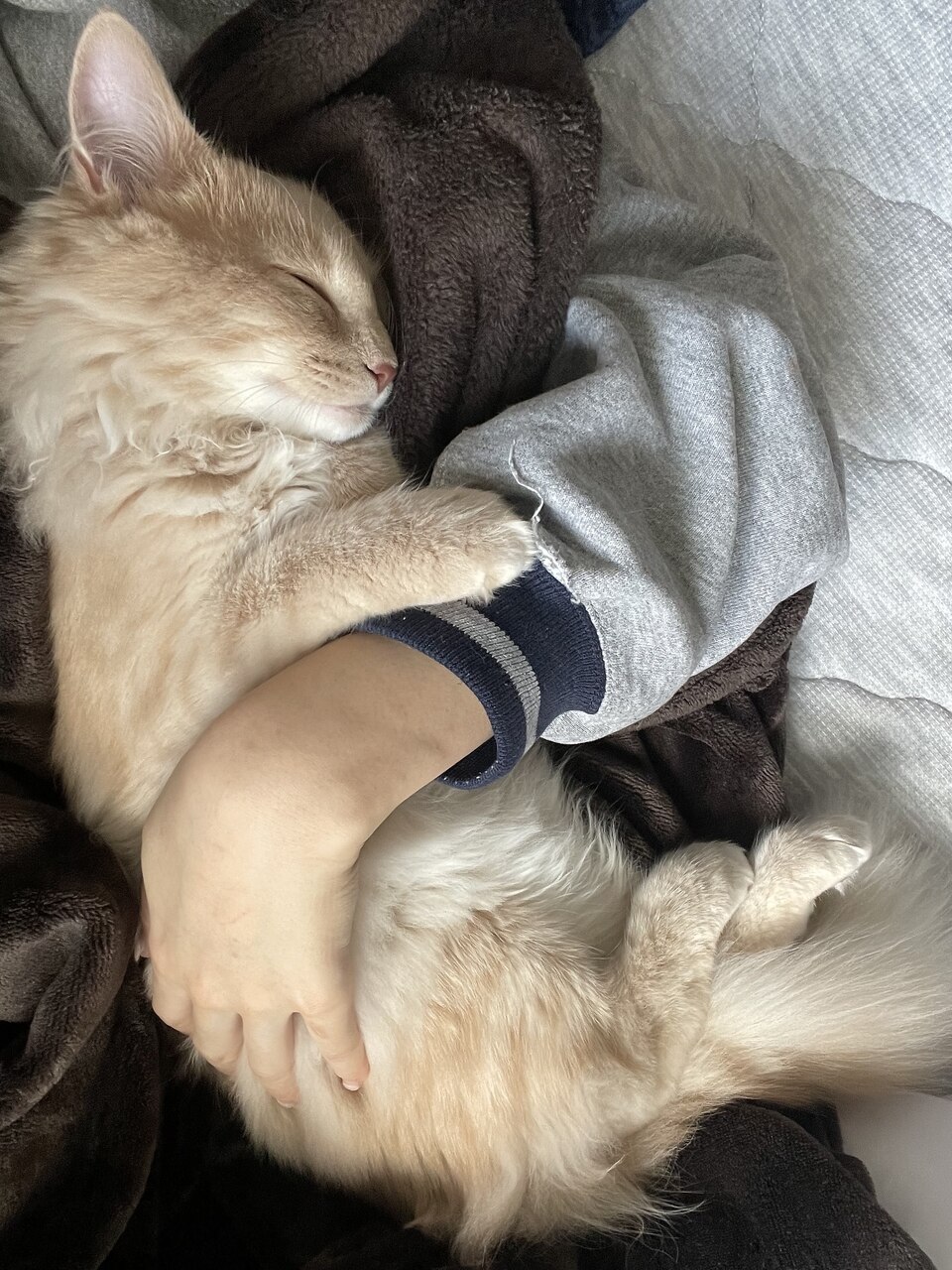 中田 楓｜エゾボリック(EZOBOLIC)｜ホットペッパービューティー