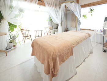 シンナリ(Shinnari)