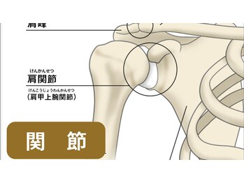 オステオパシー整体院 テツヤズ/関節