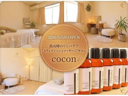 ココン(cocon)の写真