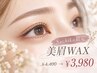 【Sachika限定★新規】骨格似合わせ美眉WAX ￥4,400→￥3,980