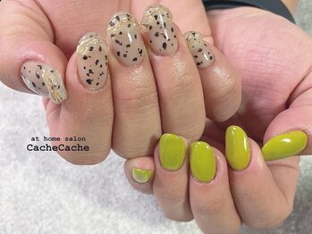 カシュカシュ(Cache Cache)/ダルメシアンワイヤーフレンチ