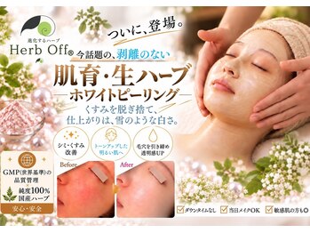 クリニカルエステ イーズ イオンモール筑紫野店の写真/秋のくすみ肌をリセットし艶肌へ導く和漢植物の生ピーリング！しみしわケアを叶える