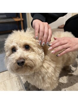 エイティスト(8ist)/ドットネイル[新宿/新宿駅]