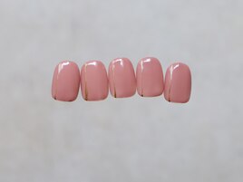 A-17 シルバー定額