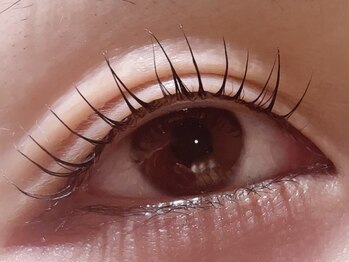 カラン 焼津店(CALIN)/シンプリフィ