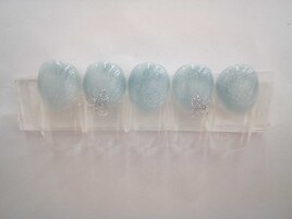 季節のジェル定額コ―ス