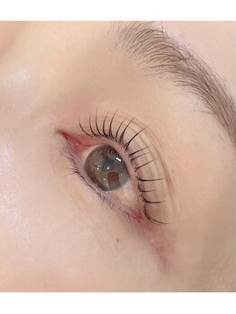 アイジュ(AYLLU)/まつ毛パーマ