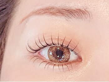 ソルト(Salt)/ラッシュリフト