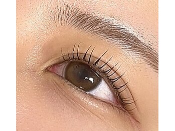 美人アイ/まつげパーマ