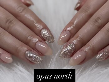 オーパス ノース(OPUS north)の写真/手の乾燥、シミ、シワが気になる方に♪