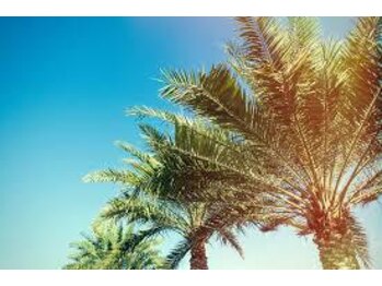 ハワイアンフォレストSpa 新横浜店/無添加ホホバオイルのこだわり