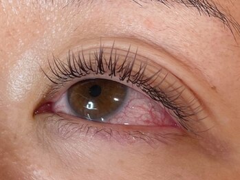 ウルカ アイラッシュ(uruka EYELASH)/フラットラッシュブラウン 120本