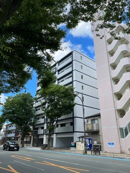 ルシャトン(Le Chaton)/