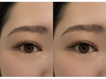 アイリー(eyelly)/フラットラッシュ100本